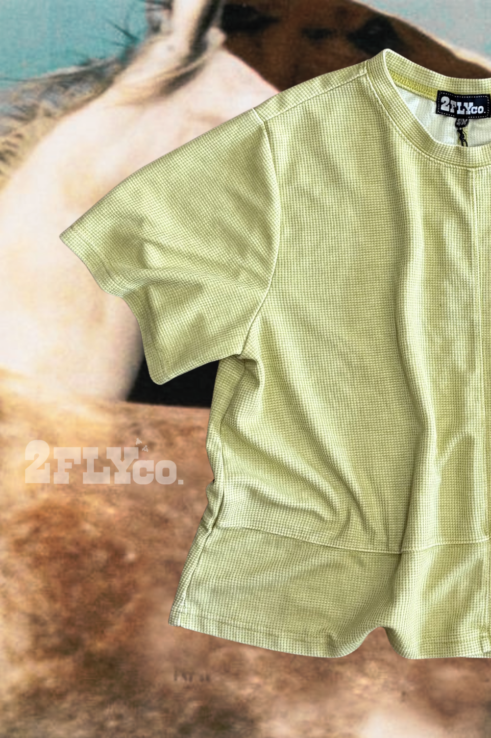 WESTERN CLASSIC TOP *ZESTY