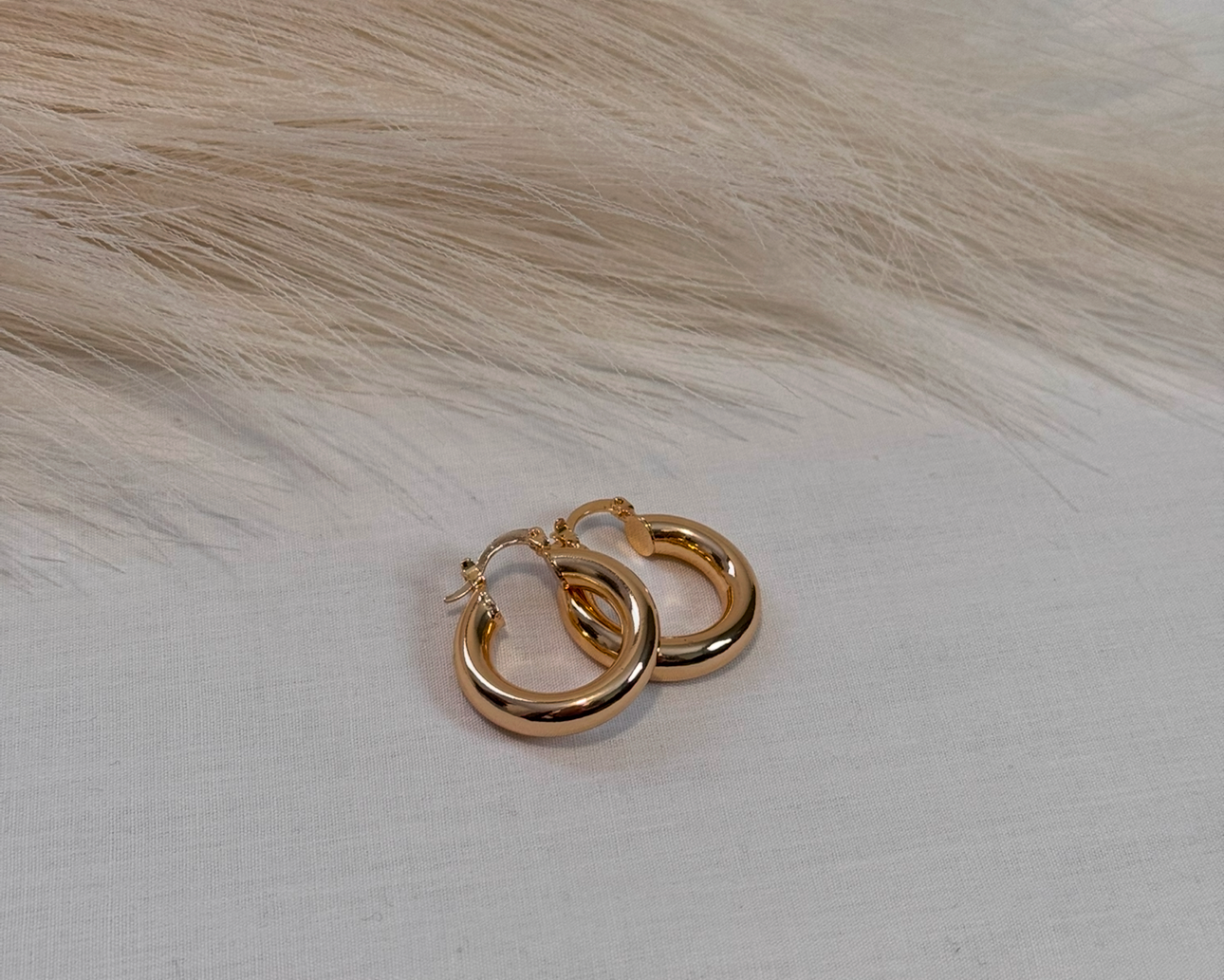 Small Gold Filled Thick Hoop Earrings