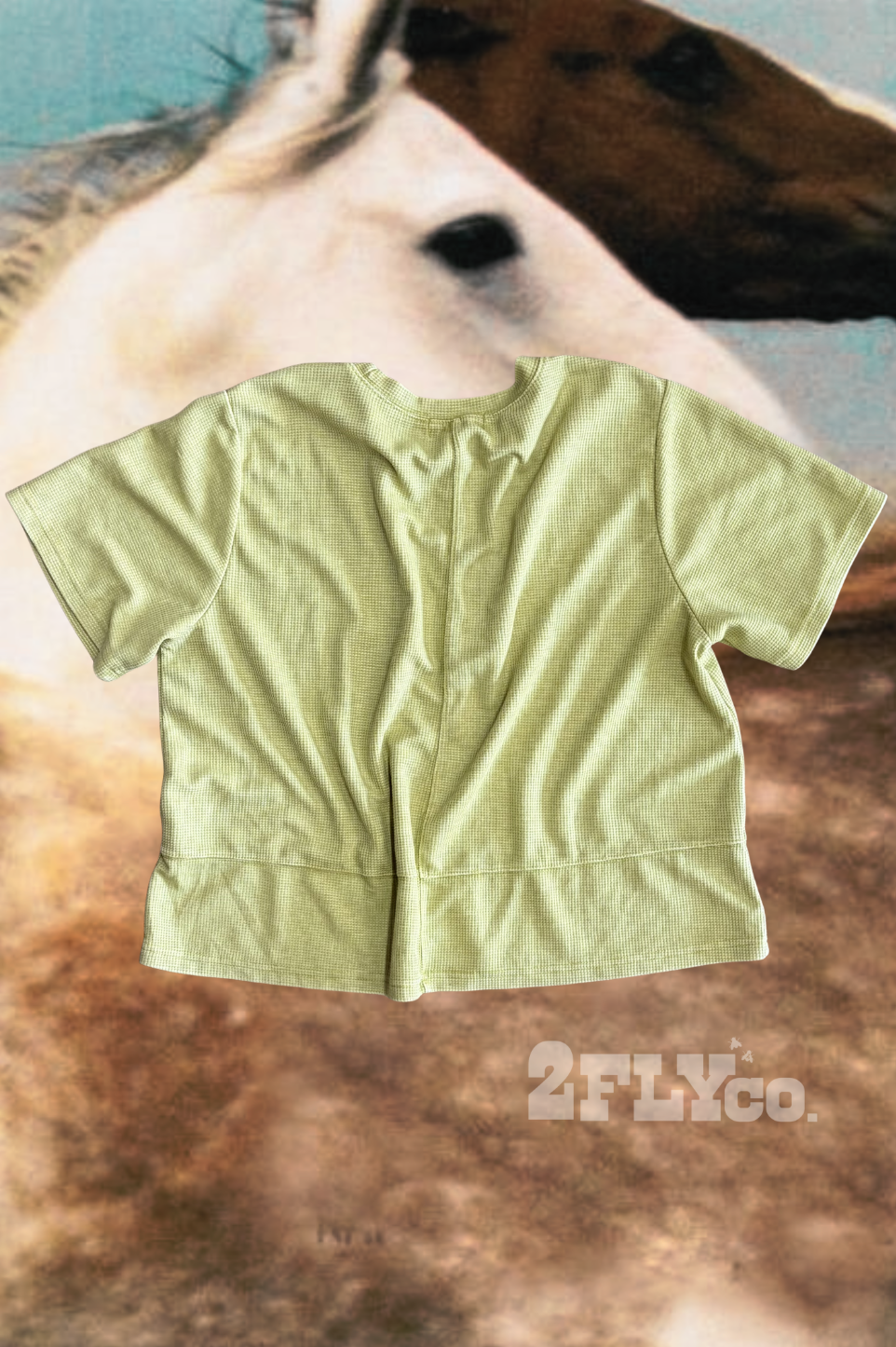 WESTERN CLASSIC TOP *ZESTY
